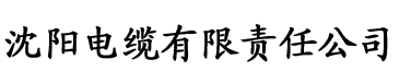 荡公乱妇电缆厂logo